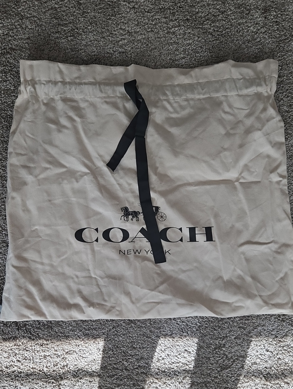 Extra Large Coach Dustbag